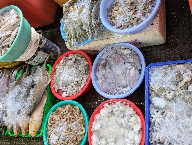 Beautiful fish, particularly the prawns and squid