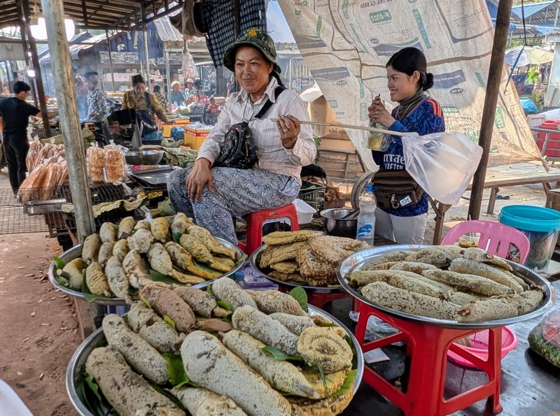 Wild honeycomb. Some of them include bee larvae that are grilled up for a protein snack