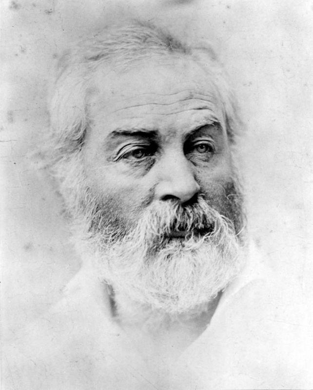 Walt Whitman by Alexander Gardner, ca. 1863 - 1864